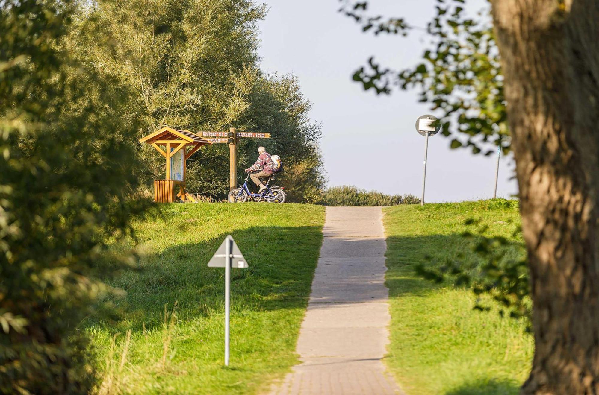 Seeschwalbe In Der Alten Seefahrtschule Wustrow  Eksteriør billede